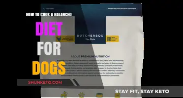 Cooking Balanced Dog Meals: A Guide for Pet Parents