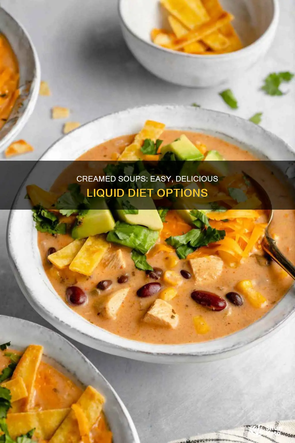how to cook creamed soup when on full liquid diet