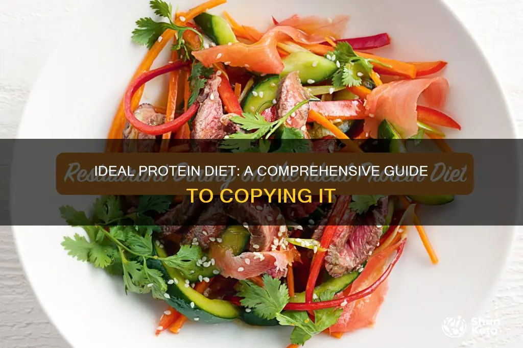 how to copy ideal protein diet