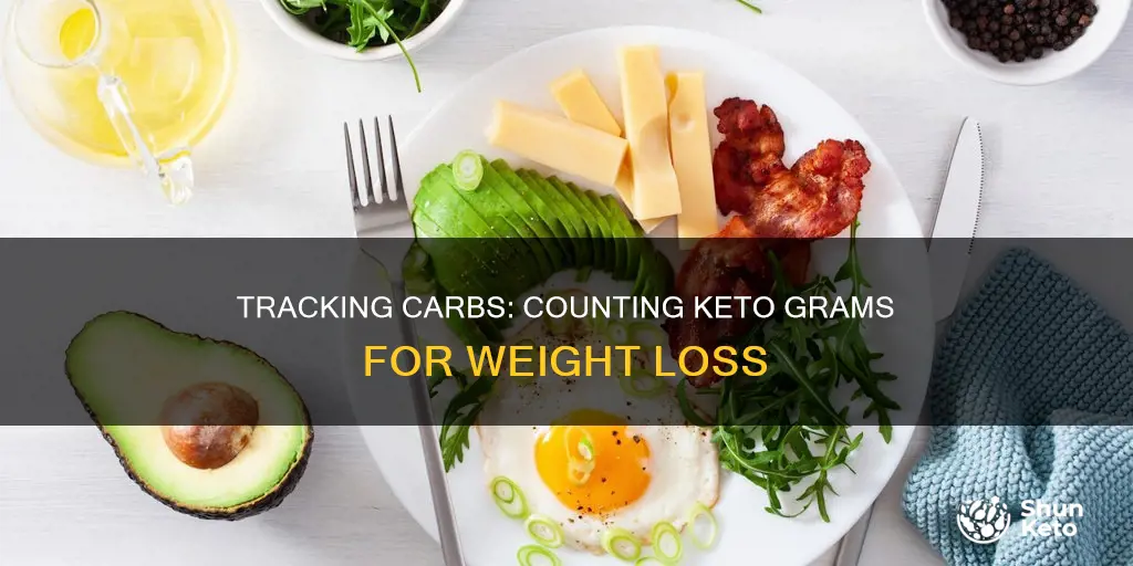 how to count grams of carbo for keto