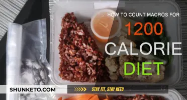 Mastering Macro Counting on a 1200-Calorie Diet