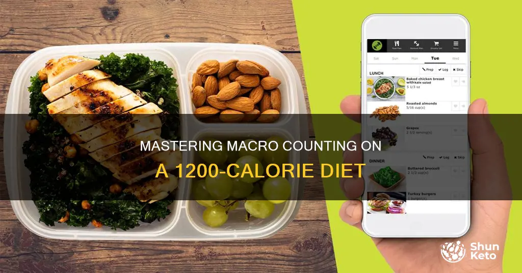 how to count macros for 1200 calorie diet