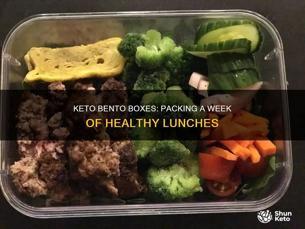 how to create 7 day keto bento boxes