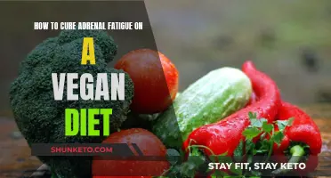 Adrenal Fatigue: Vegan Diet for Healing and Energy