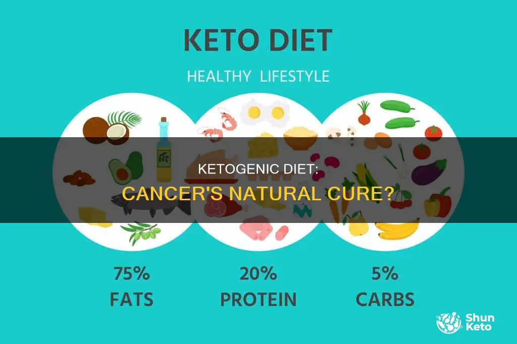 how to cure cancer with ketogenic diet