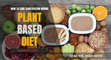 Relieving Constipation on a Plant-Based Diet