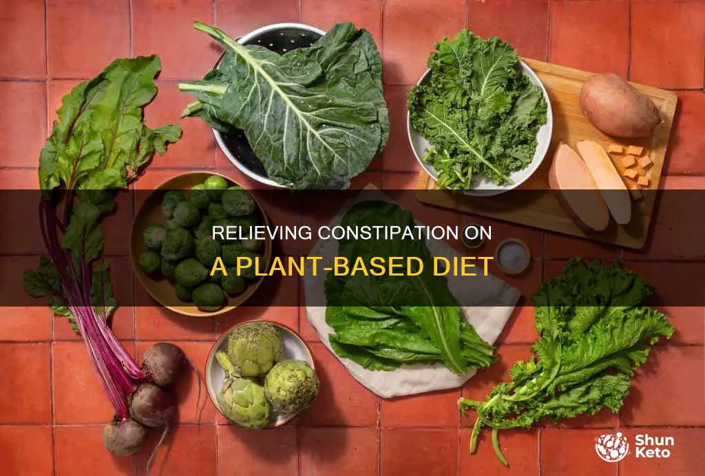 how to cure constipation during plant based diet