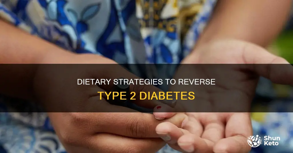 how to cure diabetes type 2 with diet