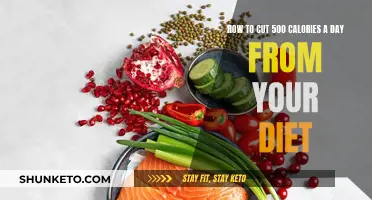 Trim 500 Calories Daily: Simple Diet Tips for Weight Loss