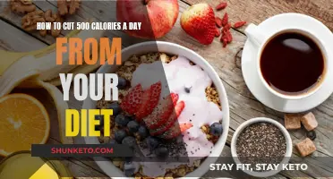 Cutting Calories: Easy Ways to Slash 500 a Day