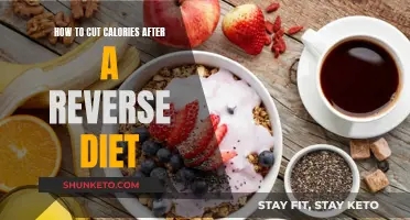 Cutting Calories Post-Reverse Diet: Strategies for Sustainable Success