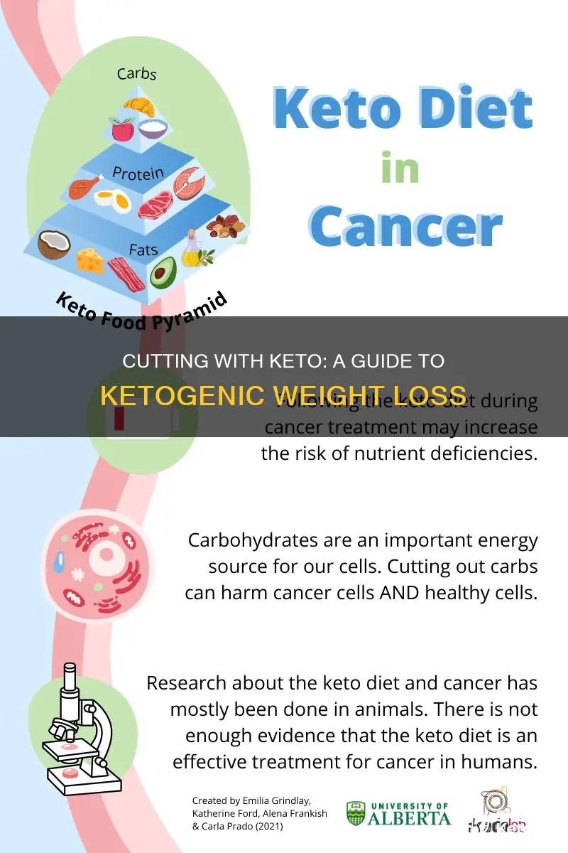 how to cut with ketogenic diet