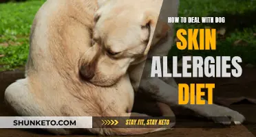 Treating Dog Skin Allergies: The Role of Diet