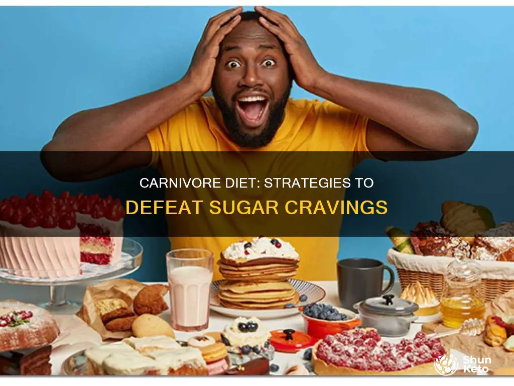 how to deal with sugar cravings on carnivore diet