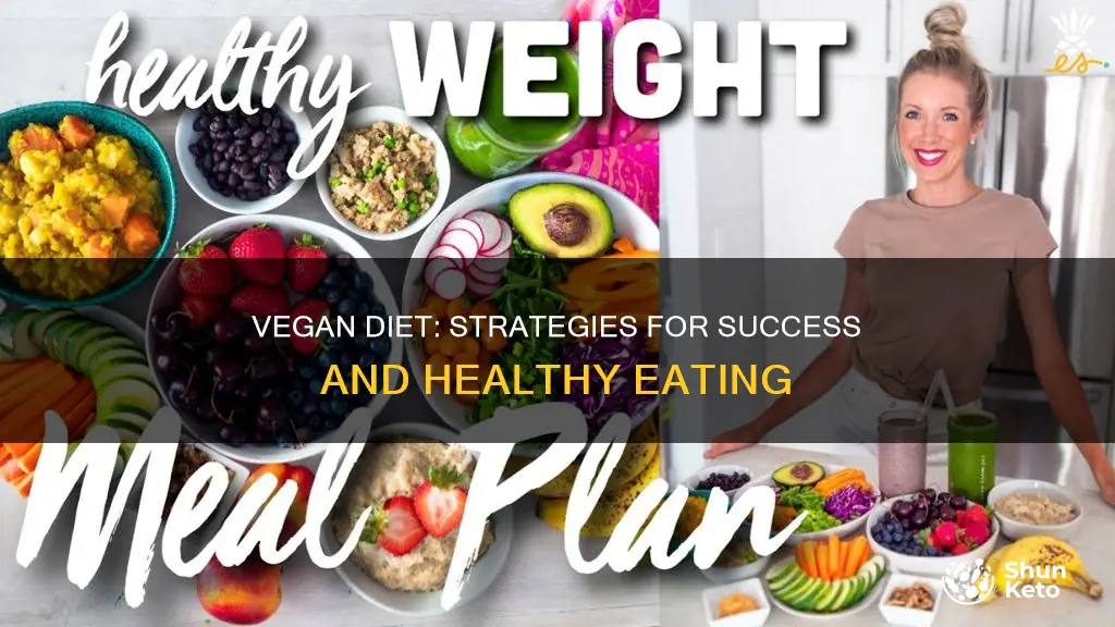 how to deal with vegan diet