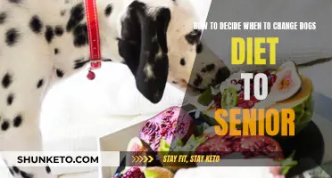 Transitioning Your Dog's Diet: Senior Years