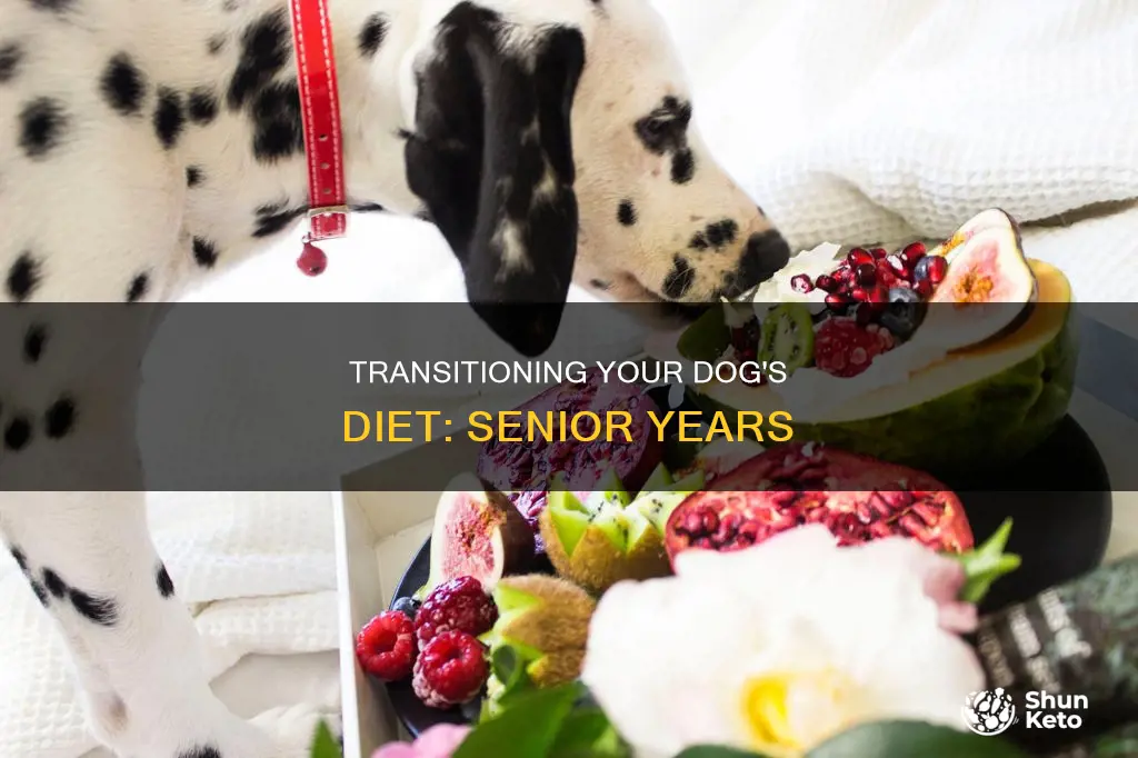 how to decide when to change dogs diet to senior