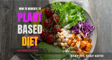 Transitioning to a Plant-Based Diet: A Guide