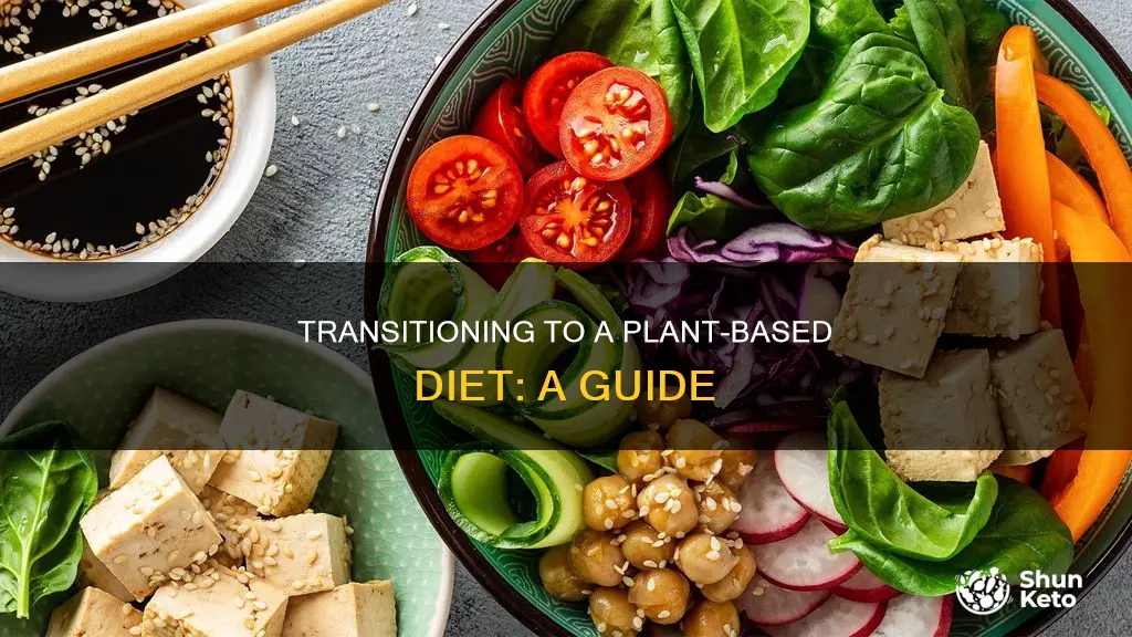 how to dedicate to plant based diet