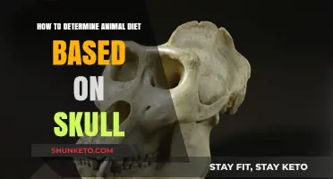 Skull Secrets: Decoding Animal Diets