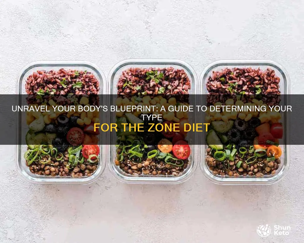 how to determine body type for zone diet