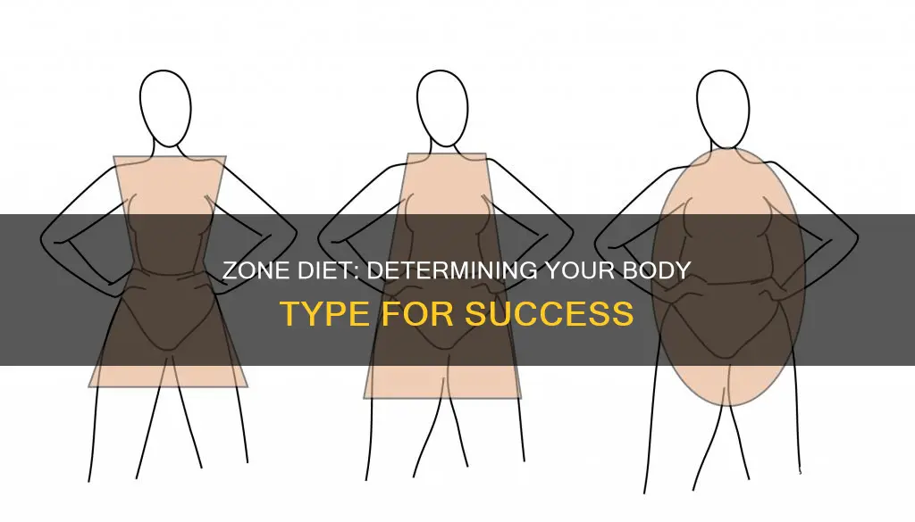 how to determine body type for zone diet
