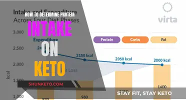 Keto Protein Intake: Calculating Your Daily Requirement