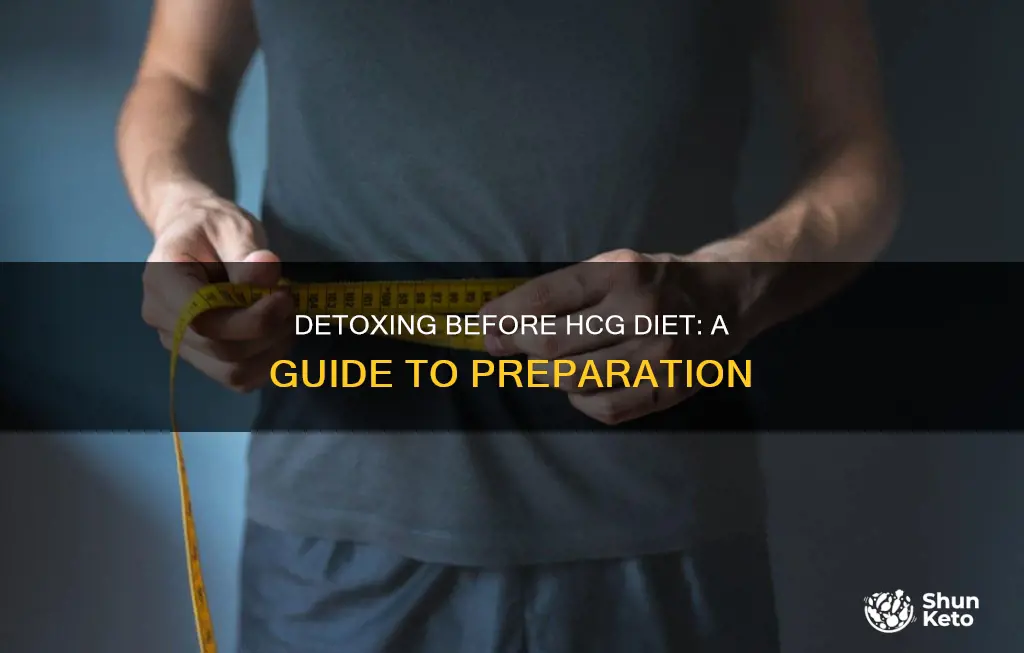 how to detox before hcg diet