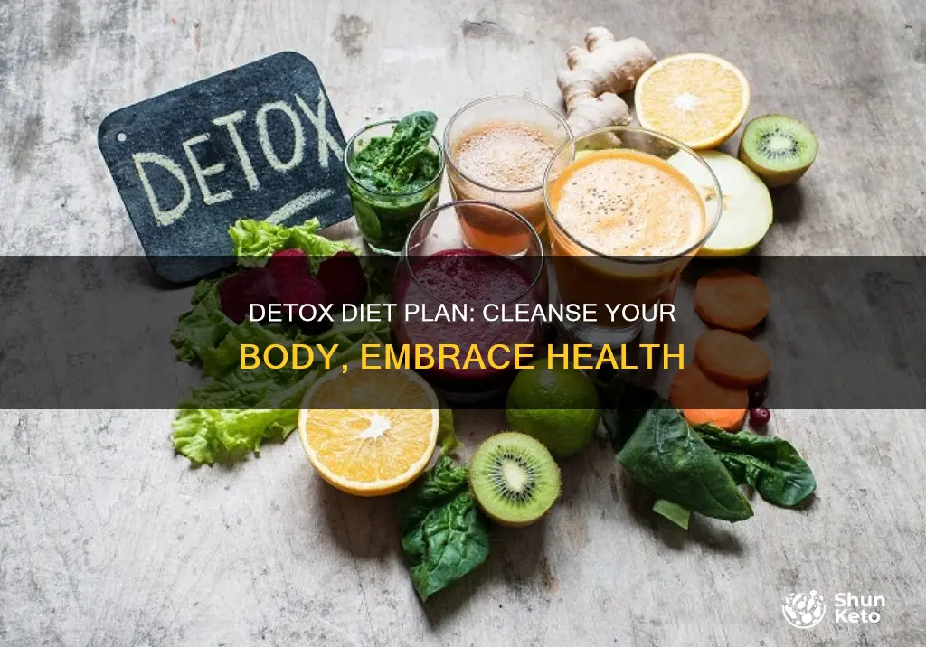 how to detox diet plan