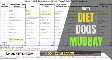 MudBay's Dog Dieting: Healthy Weight Loss for Your Pup