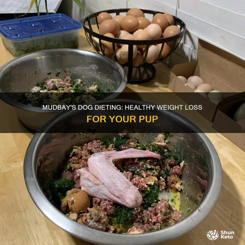 how to diet dogs mudbay