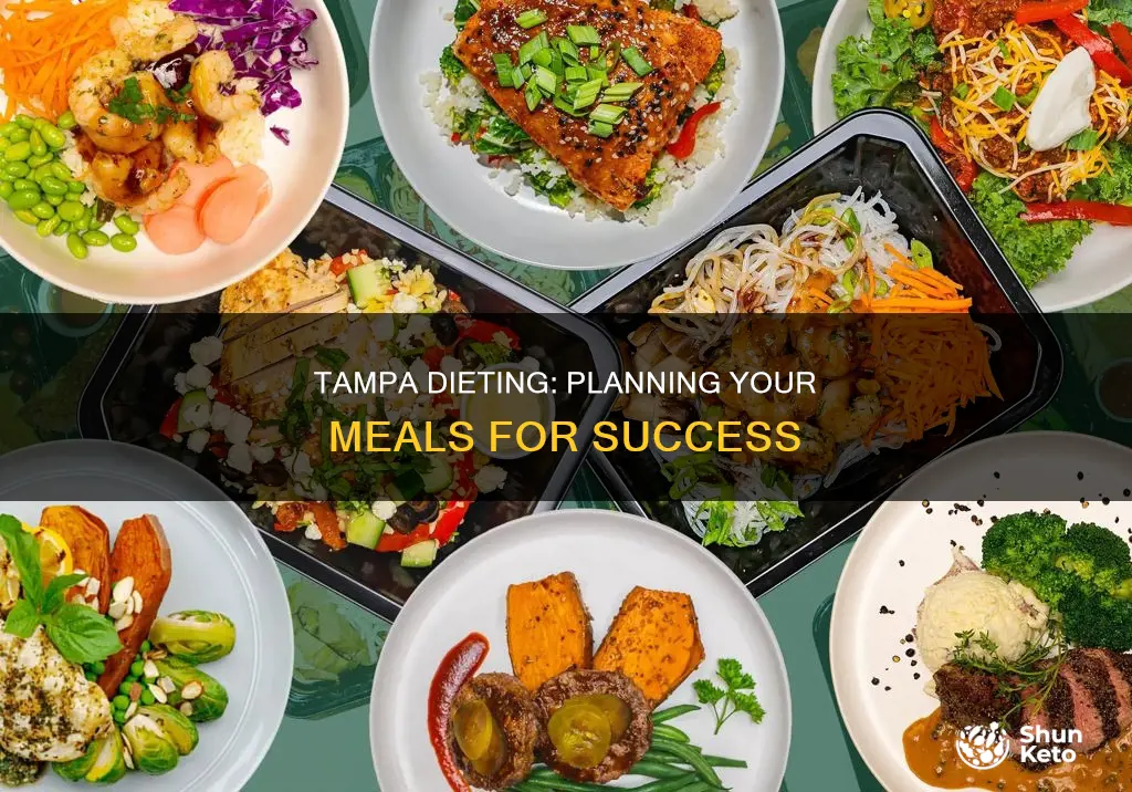 how to diet plan in tampa fl