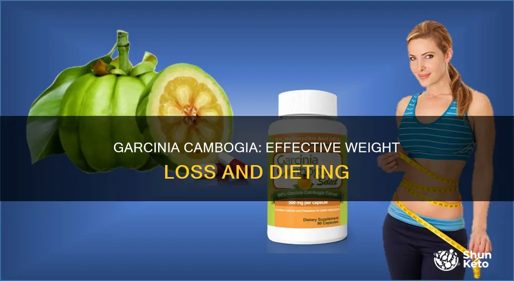how to diet using garcinia cambogia