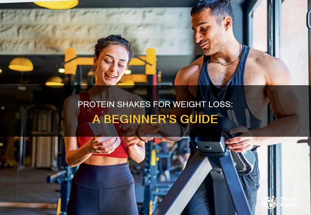 how to diet using protein shakes