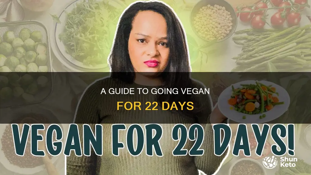 how to do 22 day vegan diet