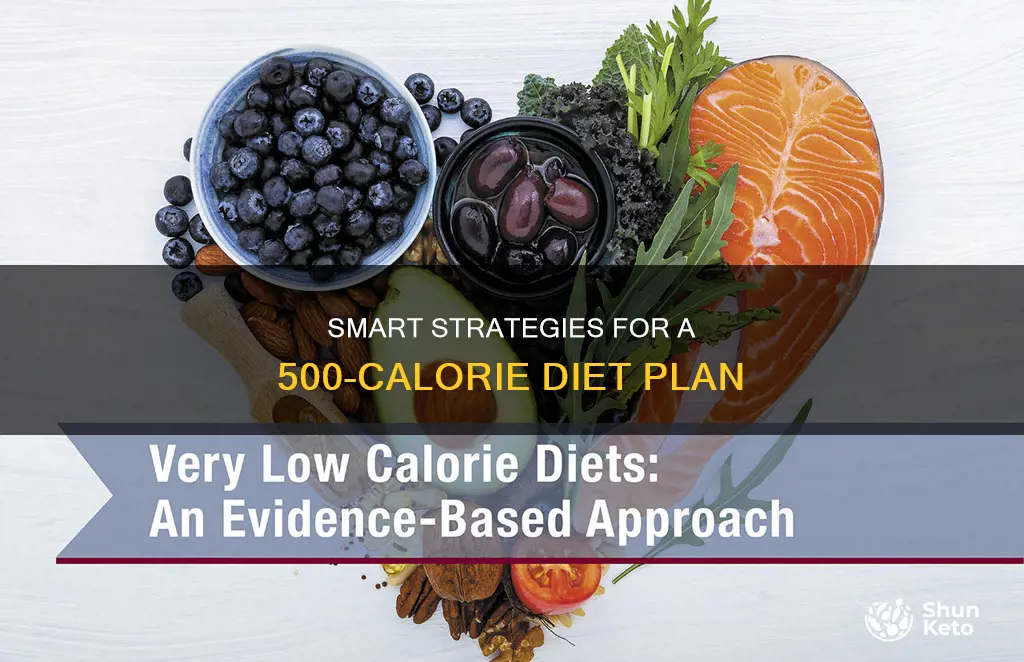 how to do 500 calorie diet