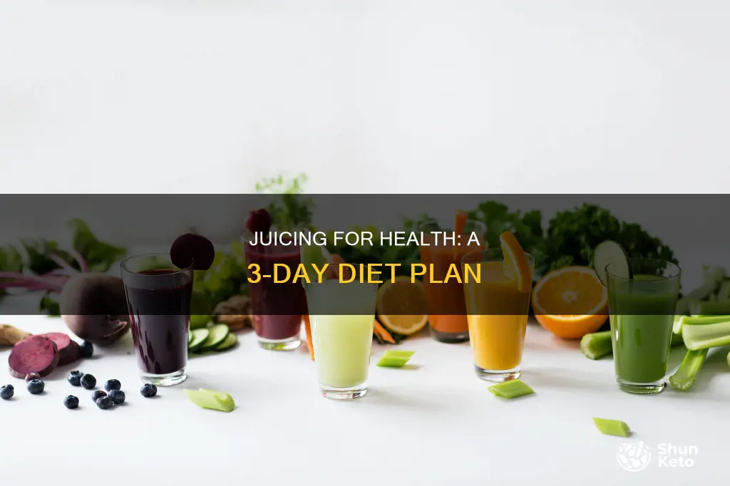 how to do a 3 day juice diet