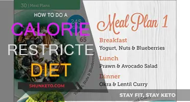 Calorie-Restricted Diet: Mastering the Art of Eating Less