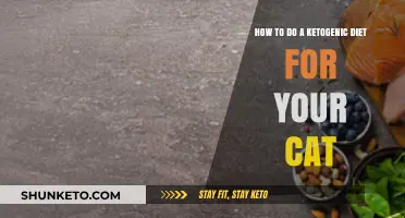 Guide to Feeding Your Cat a Ketogenic Diet
