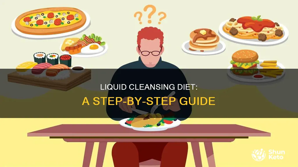 how to do a liquid cleansing diet
