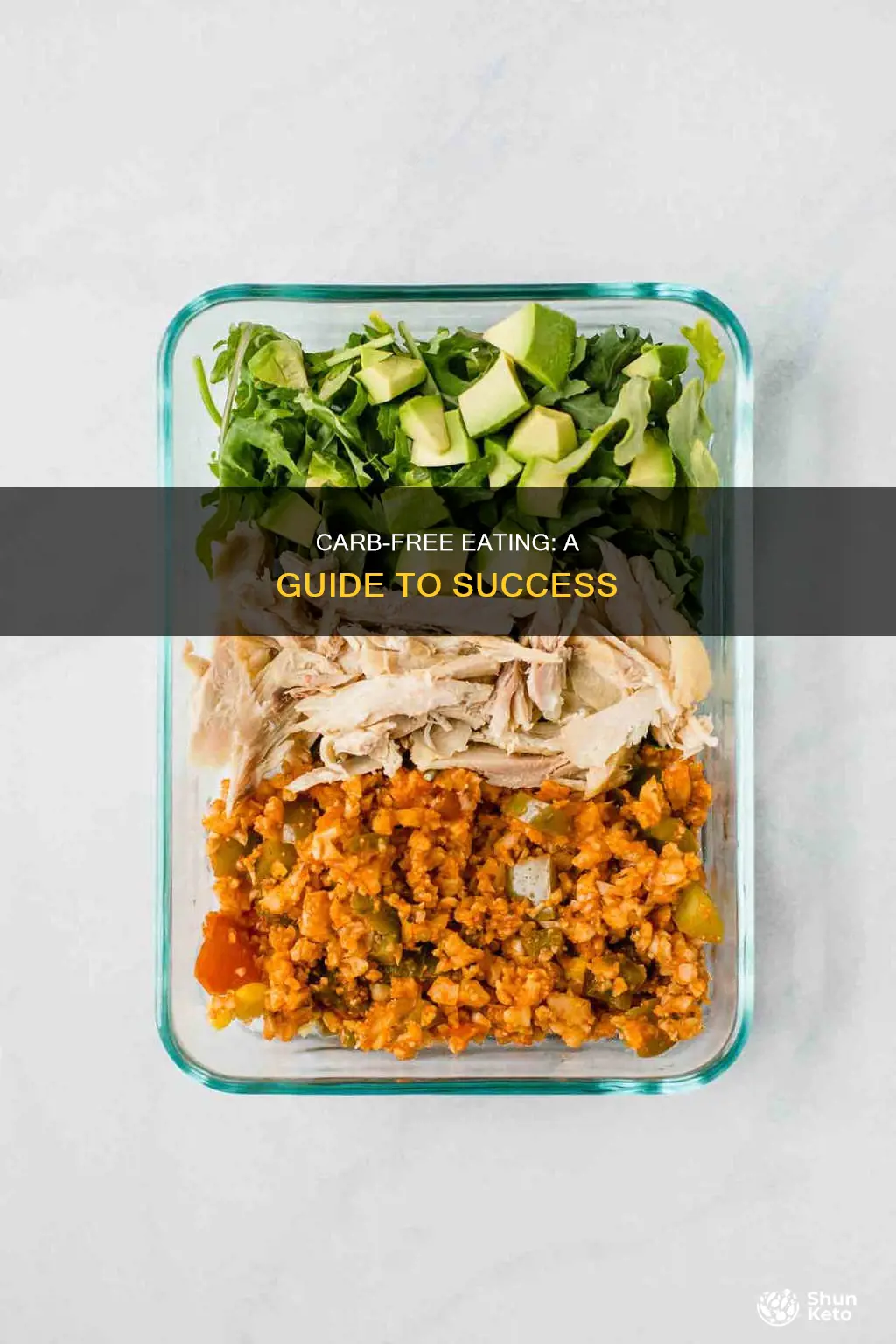 how to do a no carb diet