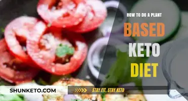 Mastering Plant-Based Keto: A Guide to Vegan Low-Carb Eating