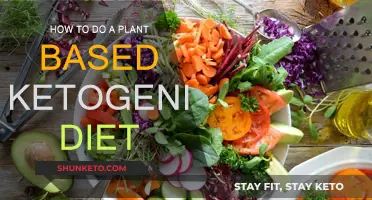 Plant-Based Keto: A Guide to This Unique Diet