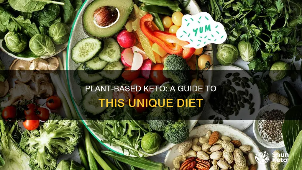 how to do a plant based ketogenic diet