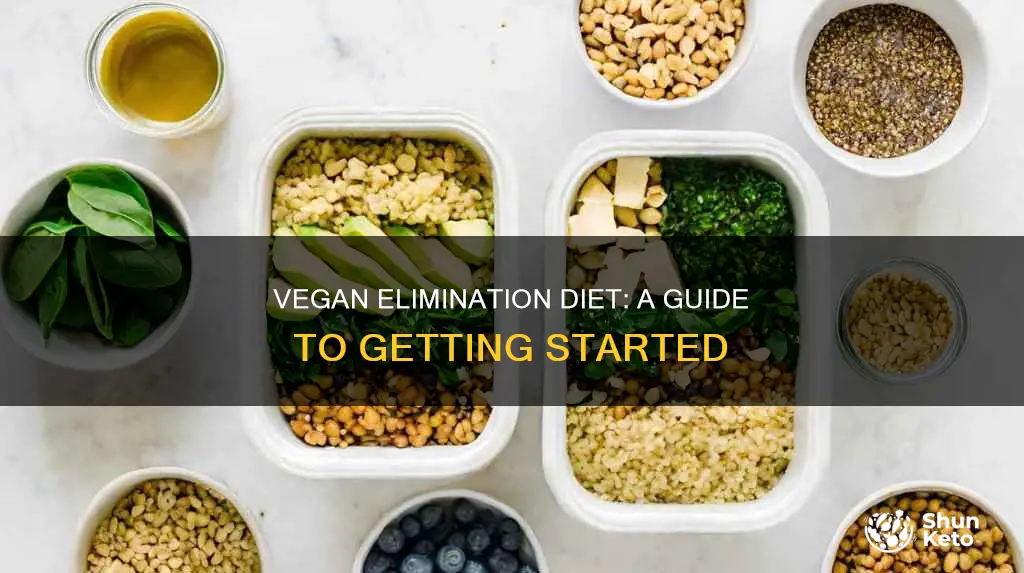 how to do a vegan elimination diet