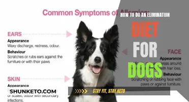 Elimination Diet for Dogs: A Guide to Food Trials