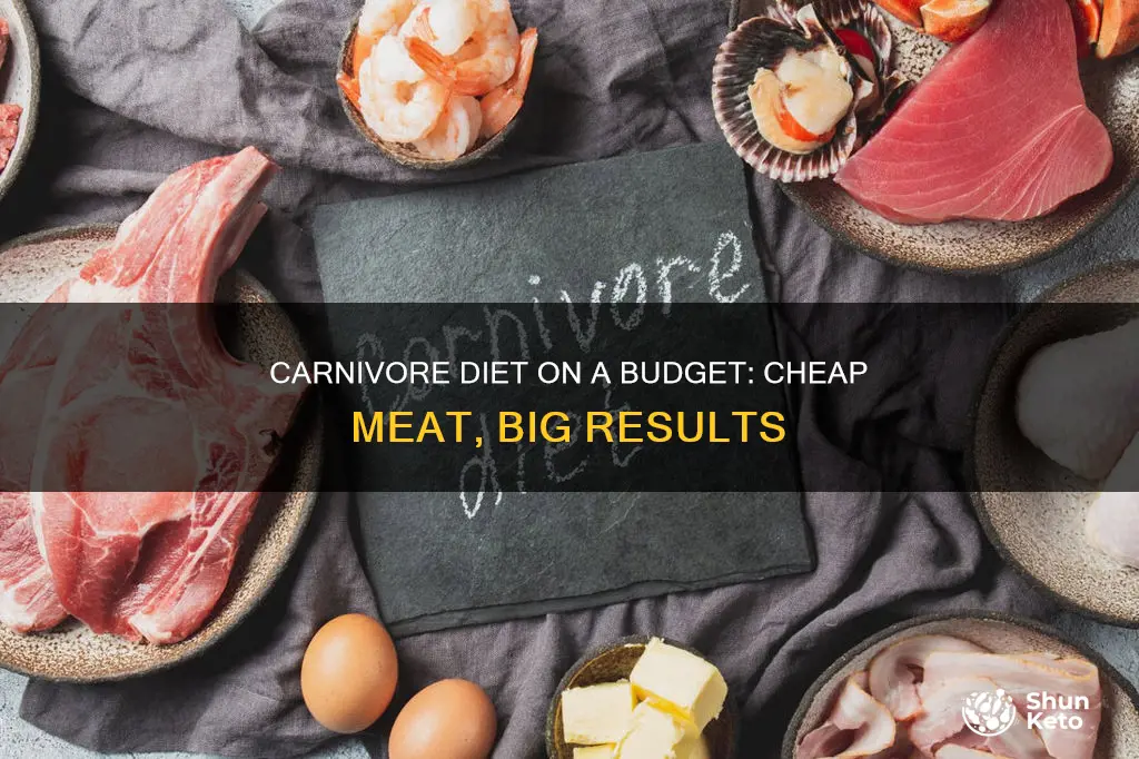 how to do carnivore diet on a budget
