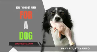Calculating Canine Nutrition: A Guide to Dog Diet Mathematics