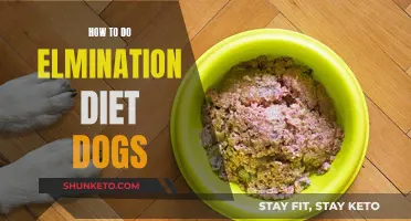 Elimination Diet for Dogs: A Guide to Food Sensitivities