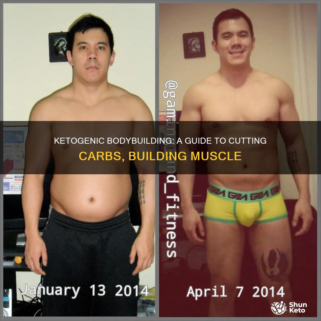 Ketogenic Bodybuilding: A Guide To Cutting Carbs, Building Muscle ...
